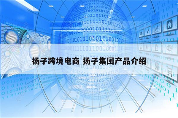 扬子跨境电商 扬子集团产品介绍