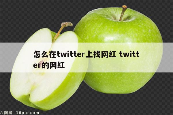 怎么在twitter上找网红 twitter的网红
