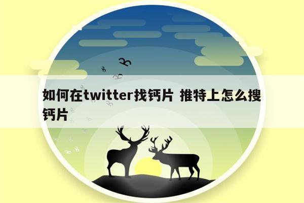如何在twitter找钙片 推特上怎么搜钙片