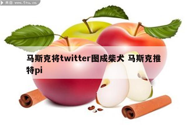 马斯克将twitter图成柴犬 马斯克推特pi