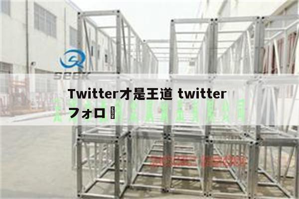 Twitter才是王道 twitter フォロー