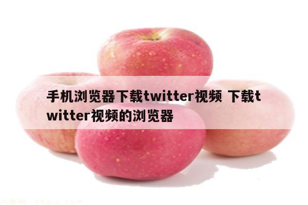 手机浏览器下载twitter视频 下载twitter视频的浏览器