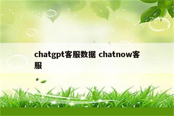 chatgpt客服数据 chatnow客服