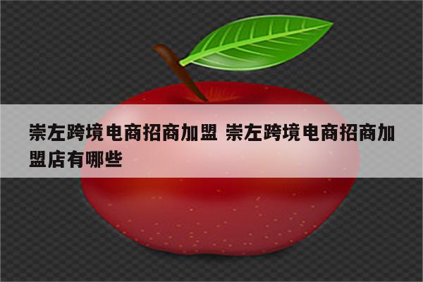 崇左跨境电商招商加盟 崇左跨境电商招商加盟店有哪些