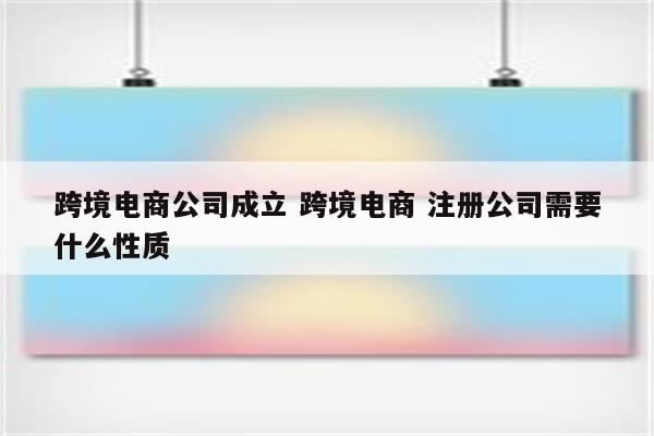 跨境电商公司成立 跨境电商 注册公司需要什么性质