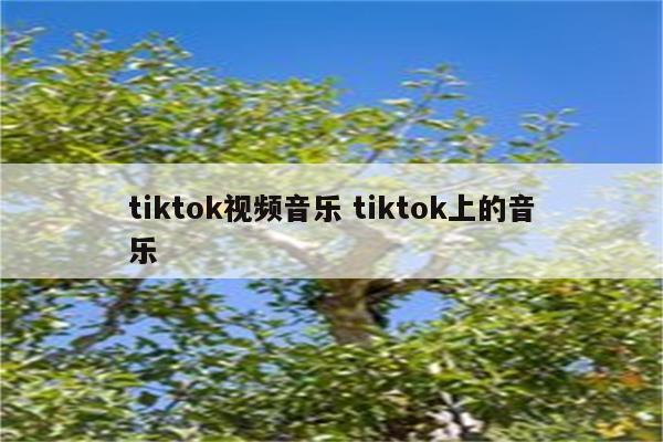 tiktok视频音乐 tiktok上的音乐