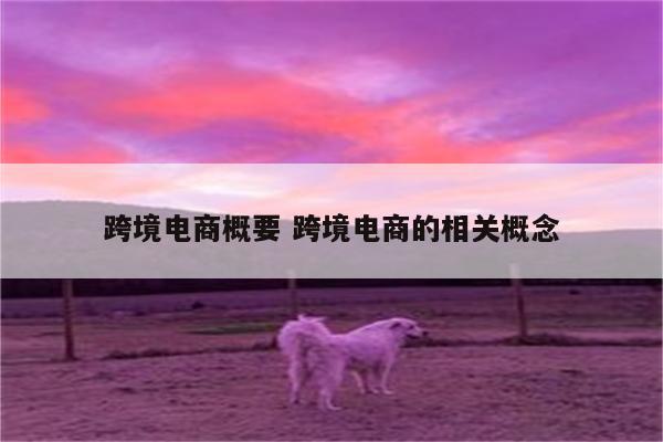 跨境电商概要 跨境电商的相关概念