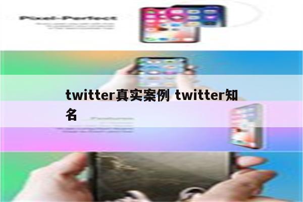 twitter真实案例 twitter知名