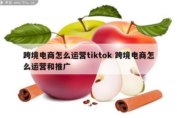 跨境电商怎么运营tiktok 跨境电商怎么运营和推广