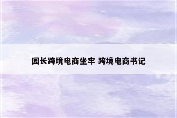 园长跨境电商坐牢 跨境电商书记