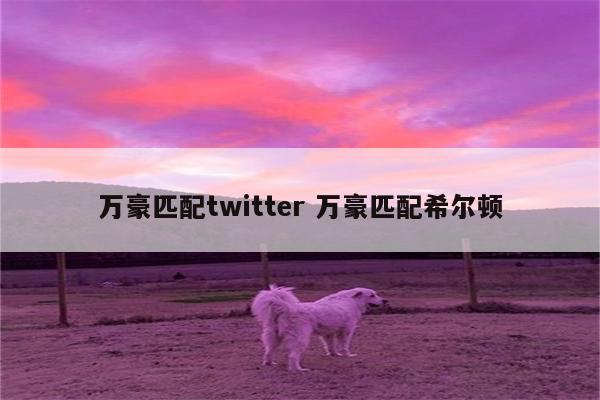 万豪匹配twitter 万豪匹配希尔顿