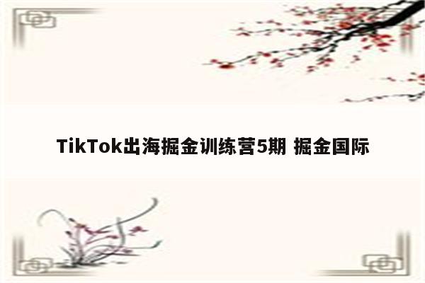 TikTok出海掘金训练营5期 掘金国际