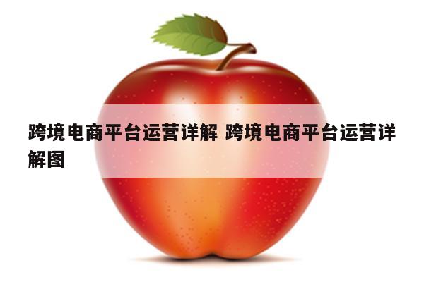 跨境电商平台运营详解 跨境电商平台运营详解图