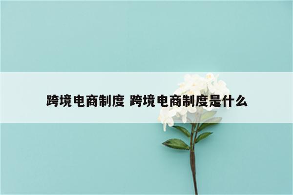 跨境电商制度 跨境电商制度是什么