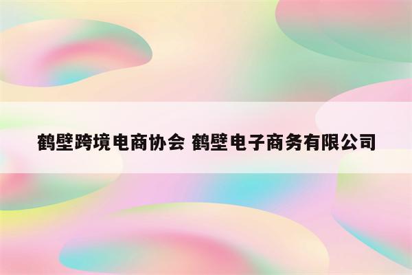 鹤壁跨境电商协会 鹤壁电子商务有限公司