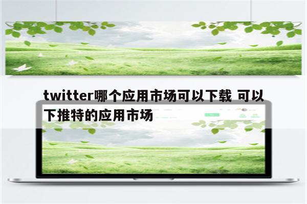 twitter哪个应用市场可以下载 可以下推特的应用市场