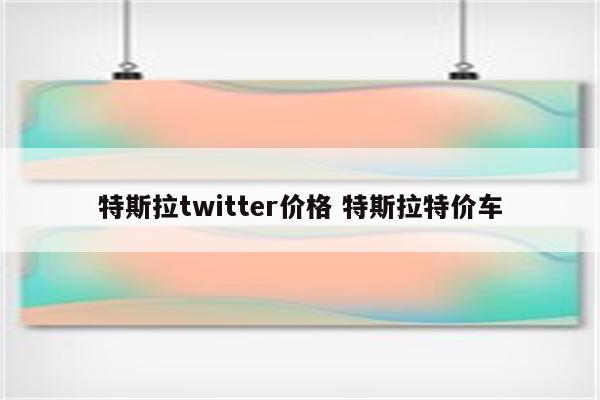 特斯拉twitter价格 特斯拉特价车