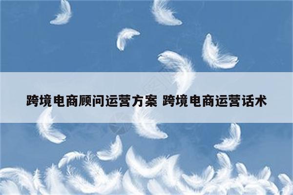 跨境电商顾问运营方案 跨境电商运营话术