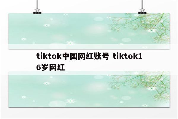 tiktok中国网红账号 tiktok16岁网红