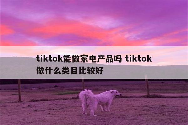 tiktok能做家电产品吗 tiktok做什么类目比较好
