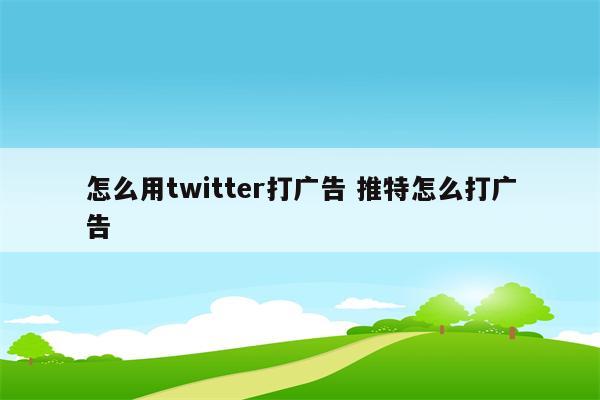 怎么用twitter打广告 推特怎么打广告