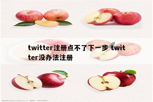 twitter注册点不了下一步 twitter没办法注册