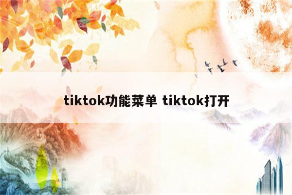 tiktok功能菜单 tiktok打开