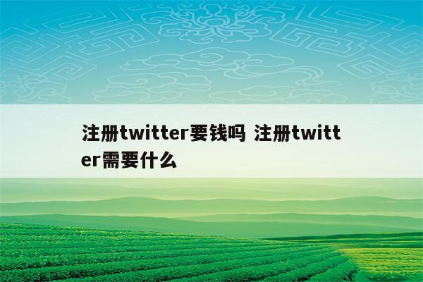 注册twitter要钱吗 注册twitter需要什么