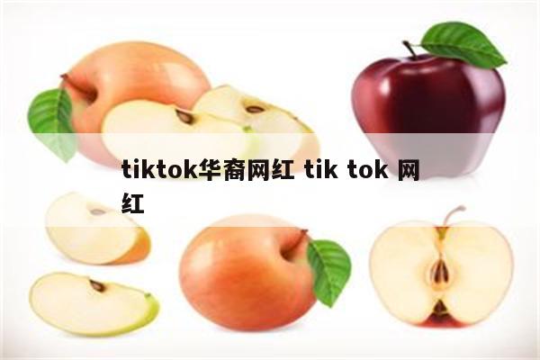 tiktok华裔网红 tik tok 网红