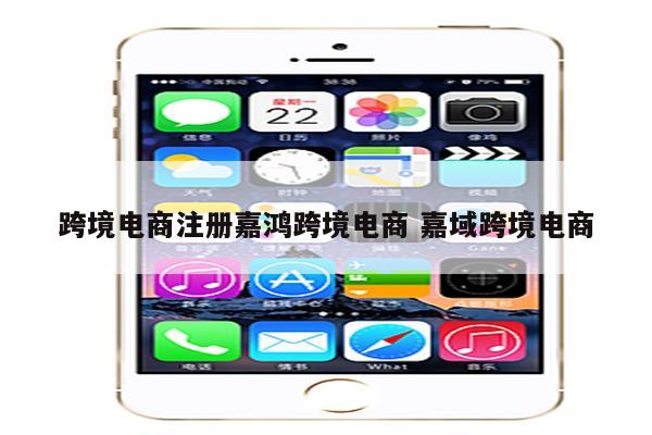 跨境电商注册嘉鸿跨境电商 嘉域跨境电商