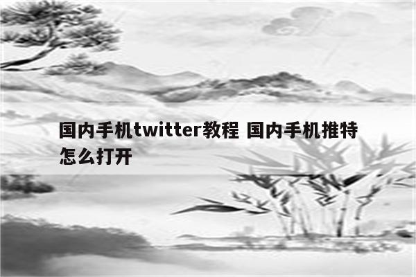 国内手机twitter教程 国内手机推特怎么打开