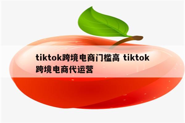 tiktok跨境电商门槛高 tiktok跨境电商代运营