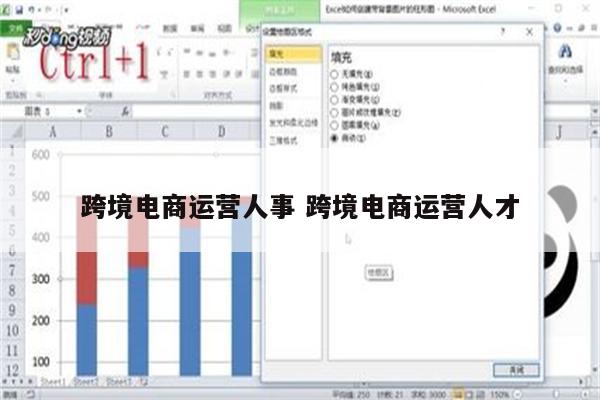 跨境电商运营人事 跨境电商运营人才
