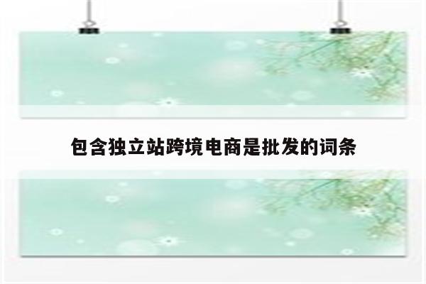 包含独立站跨境电商是批发的词条