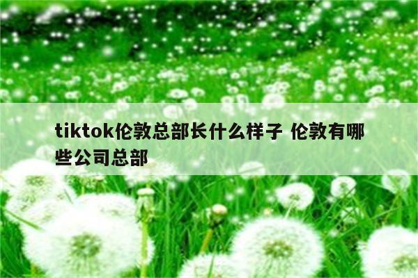 tiktok伦敦总部长什么样子 伦敦有哪些公司总部