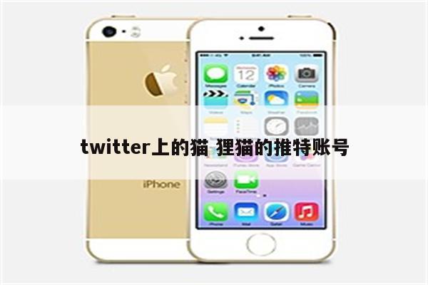 twitter上的猫 狸猫的推特账号