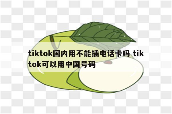 tiktok国内用不能插电话卡吗 tiktok可以用中国号码