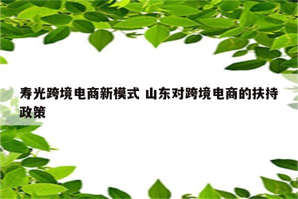 寿光跨境电商新模式 山东对跨境电商的扶持政策