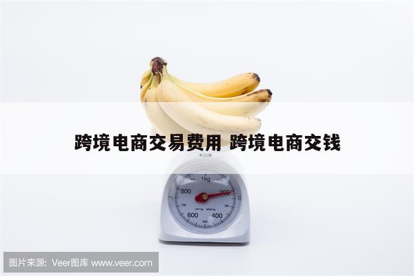 跨境电商交易费用 跨境电商交钱
