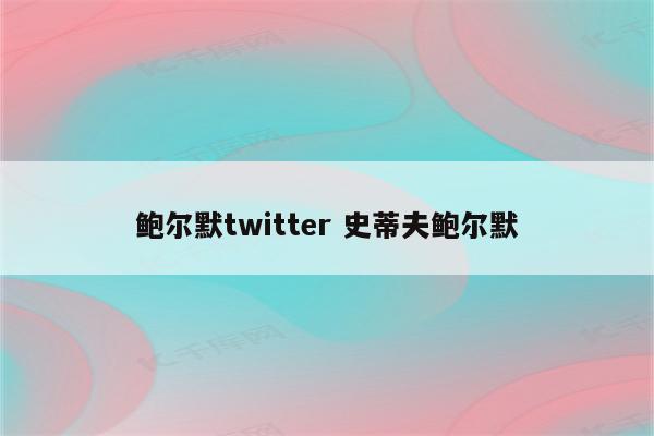鲍尔默twitter 史蒂夫鲍尔默