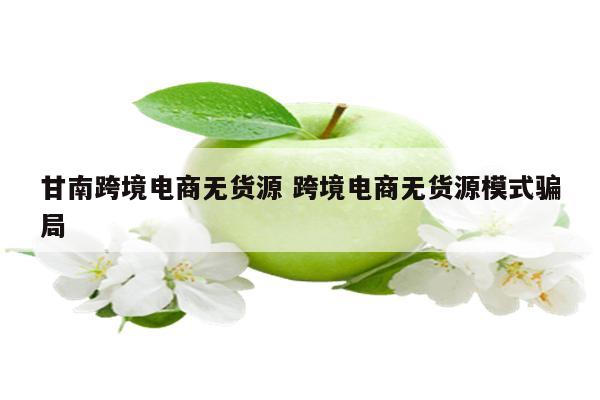 甘南跨境电商无货源 跨境电商无货源模式骗局