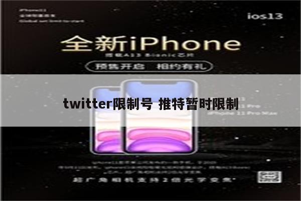 twitter限制号 推特暂时限制
