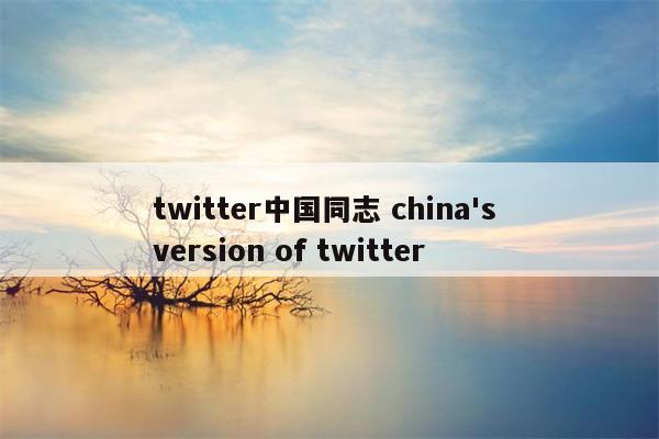 twitter中国同志 china's version of twitter