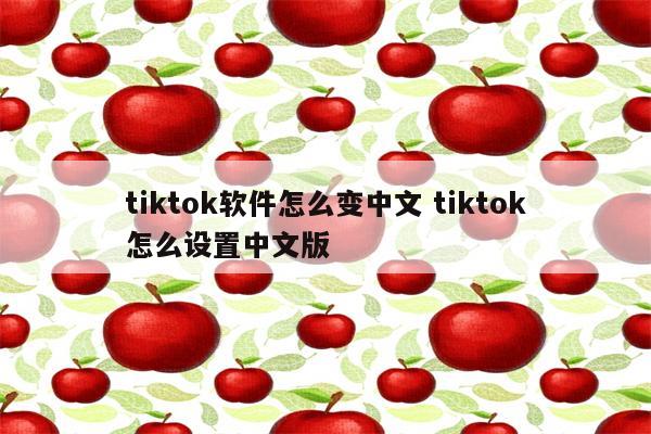 tiktok软件怎么变中文 tiktok怎么设置中文版