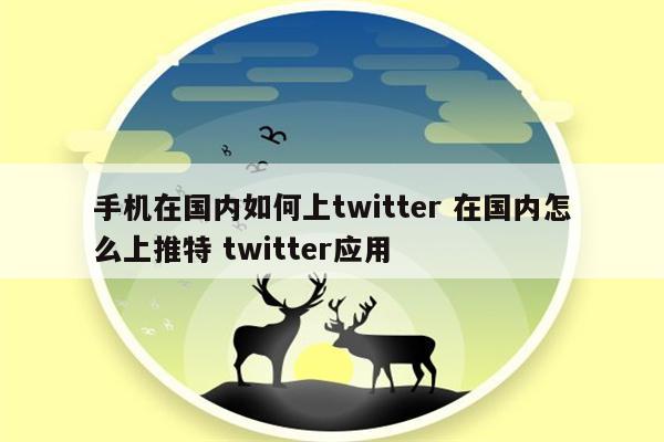 手机在国内如何上twitter 在国内怎么上推特 twitter应用