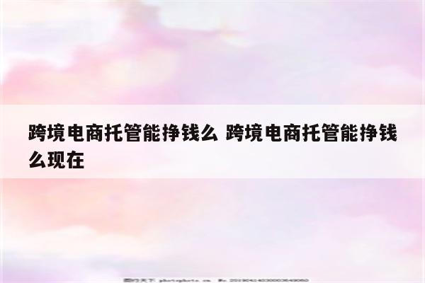 跨境电商托管能挣钱么 跨境电商托管能挣钱么现在