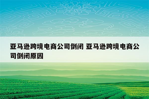 亚马逊跨境电商公司倒闭 亚马逊跨境电商公司倒闭原因