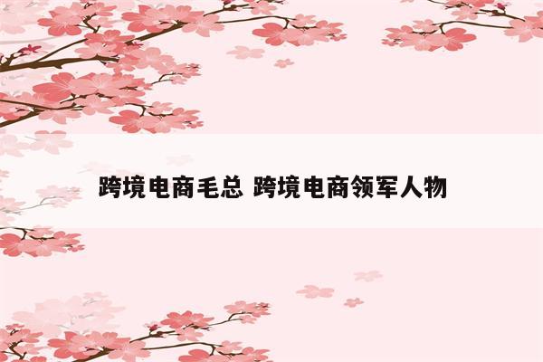 跨境电商毛总 跨境电商领军人物