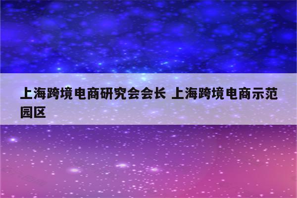 上海跨境电商研究会会长 上海跨境电商示范园区