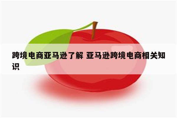 跨境电商亚马逊了解 亚马逊跨境电商相关知识